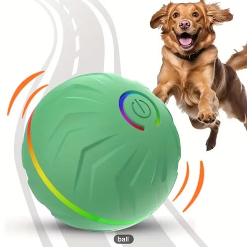 Rechargeable automatic dog - ,