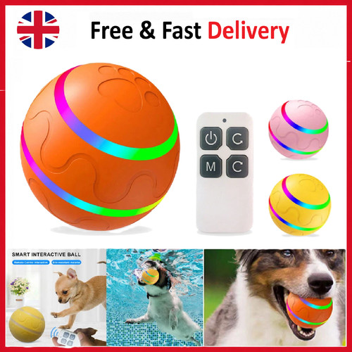 Dog ball interactive - ball,