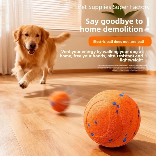 Smart dog toy ball - toy,