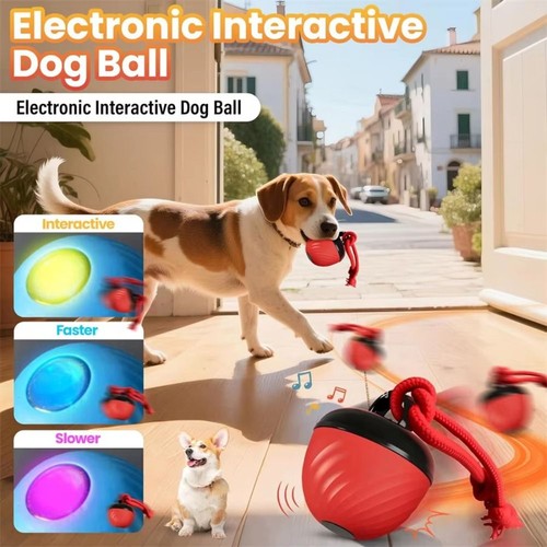 Intelligent dog toy - toy, ball
