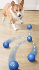 Automatic Moving Dog Toy Ball