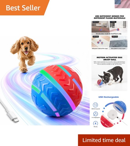 Light moving dog - ball,
