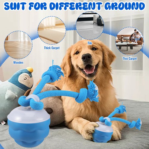 Interactive dog ball - dog,