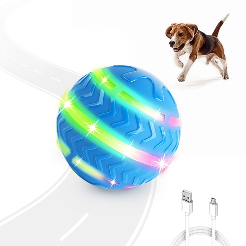 All for paws interactive - all,
