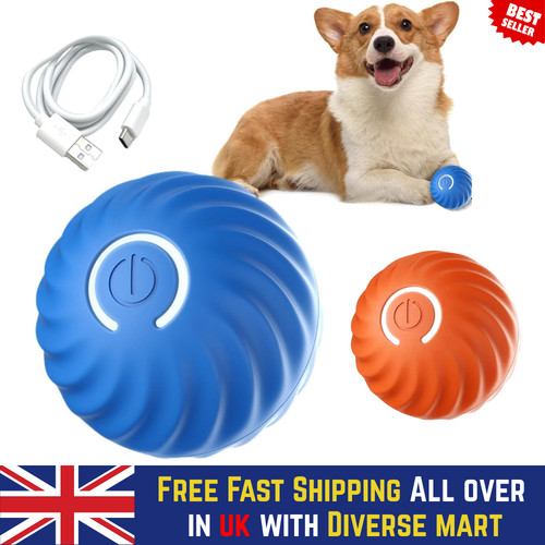 Smart dog puppy - dog,