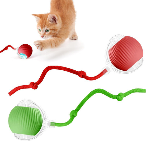 Active rolling ball with - with, tail