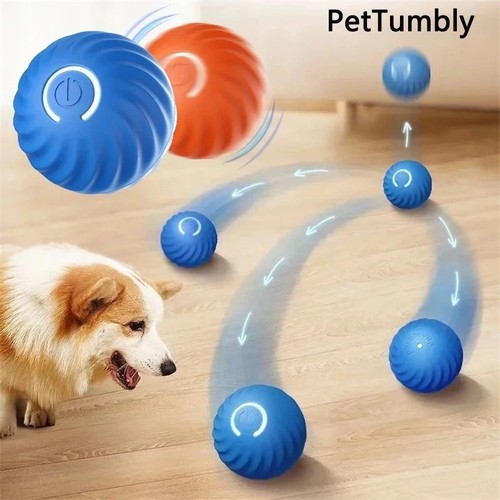 Smart dog ball electronic - smart,