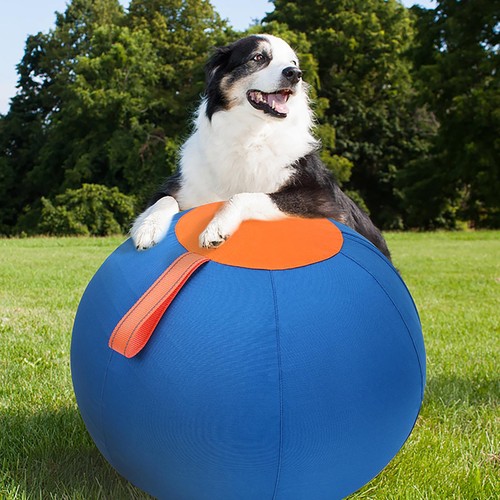 45cm giant dog herding - 45cm,