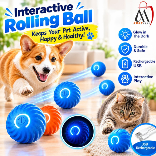Smart interactive dog - toy, ball