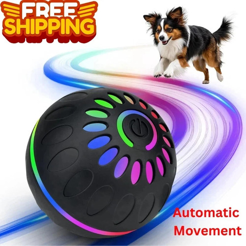 Interactive dog toys - dog,