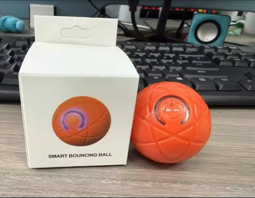 Active moving pet - pet, toy
