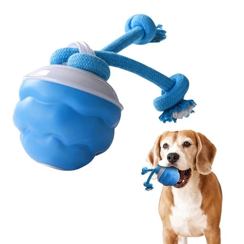 Interactive dog ball - dog,