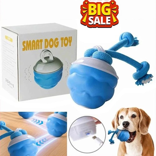 Interactive dog ball for - interactive,