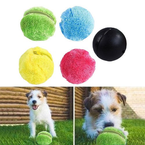 Automatic rolling ball dog - automatic,
