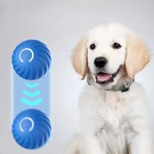 Pet toy ball automatic - pet,