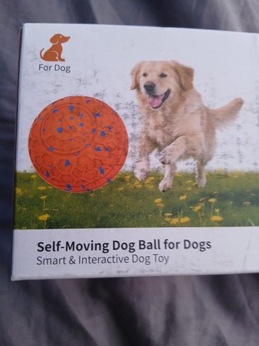 Self moving dog - self,