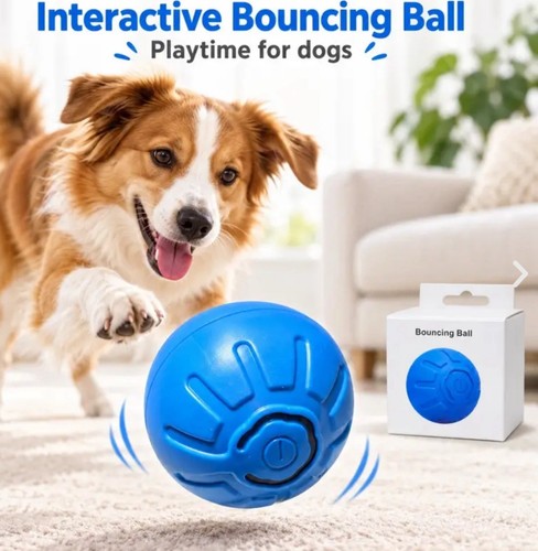 Interactive rechargeable - interactive,