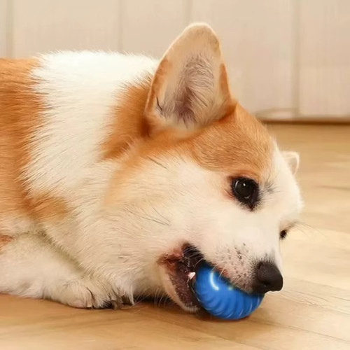 Electronic small dog toy - small,