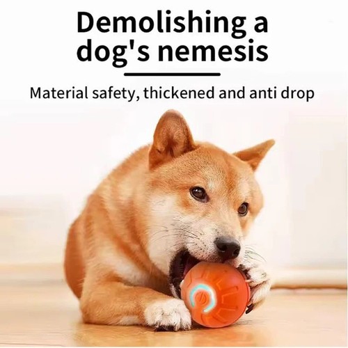 Smart dog toy - ball, automatic