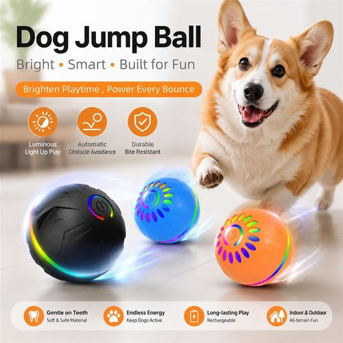 Interactive dog toys - interactive,
