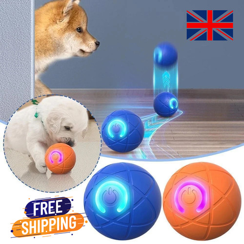 Smart dog puppy bouncing - smart,