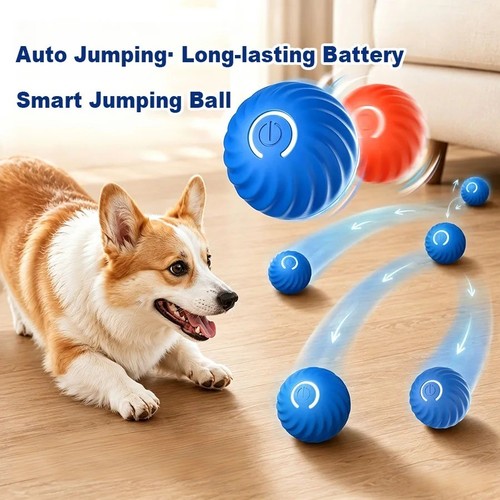 Smart dog toys - dog, ball