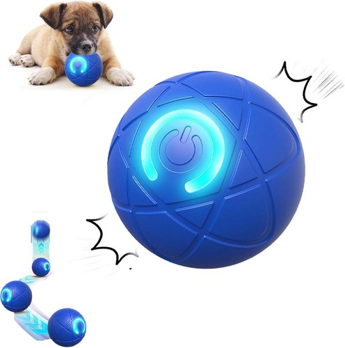 Smart dog puppy - dog,