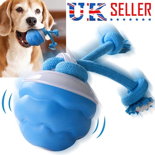 Smart interactive dog - dog, ball
