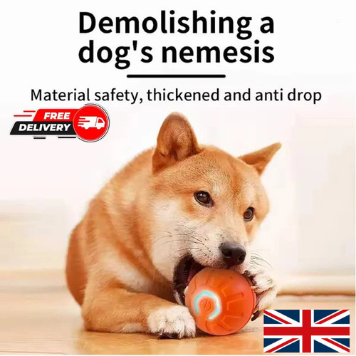 Smart dog toy - smart, ball