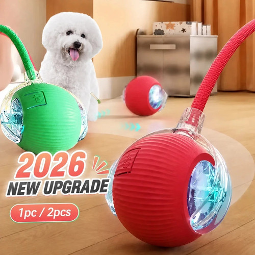 Automatic dog ball toy - automatic,