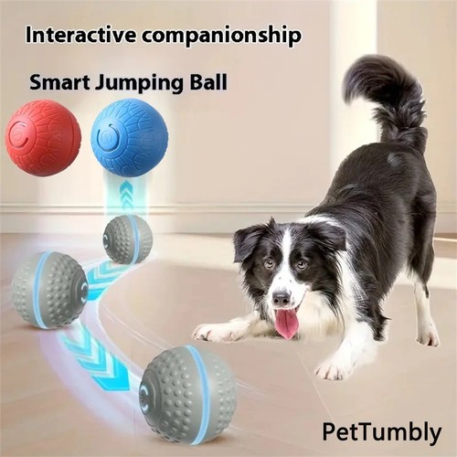 Interactive dog toys ball - interactive,