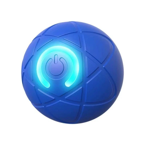 Smart dog puppy bouncing - dog,