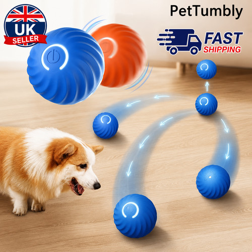 Smart interactive dog toy - interactive,