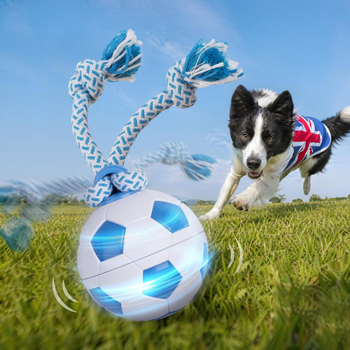 Interactive dog toys - toys, self