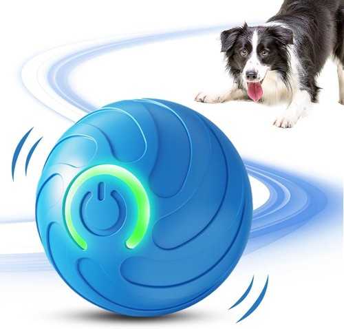 Interactive pet toy - interactive,