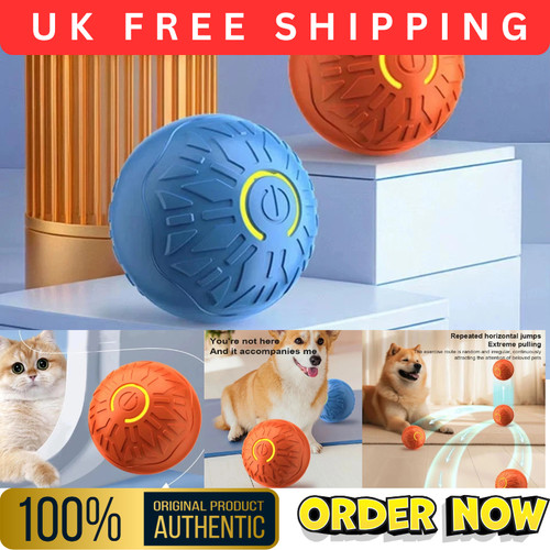 Smart dog toy ball - smart,