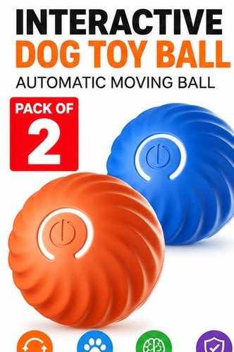 Pack interactive - pack, 2