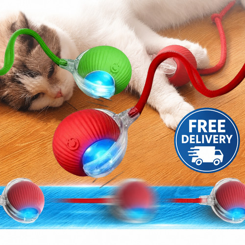 Smart automatic rolling ball - smart,