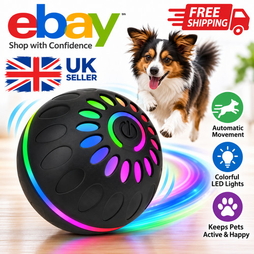 Interactive dog toys - dog,