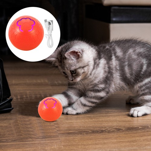 Smart pet toys - smart, large