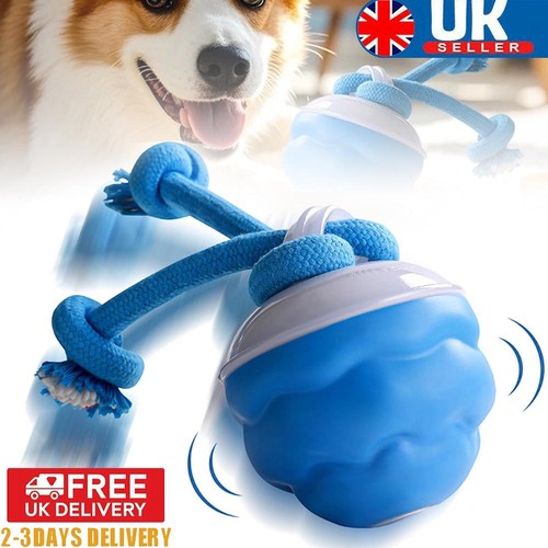 Interactive dog toys ball - interactive,