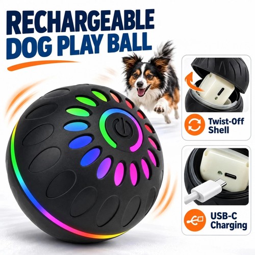 Automatic moving dog - moving,