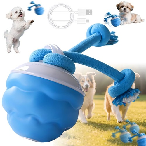 Rechargeable dog ball with - rechargeable,