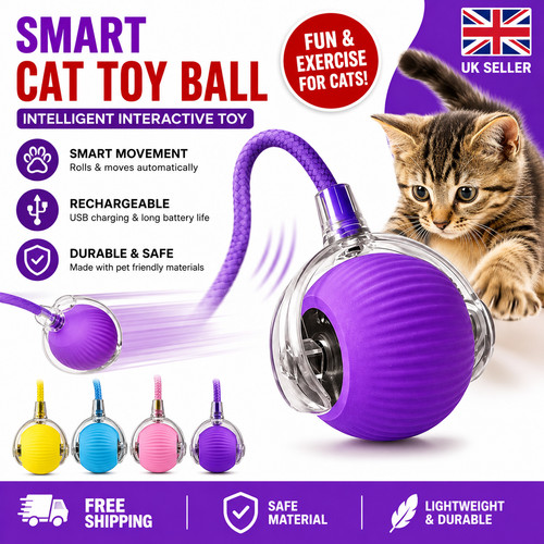 Interactive pet toy - pet,