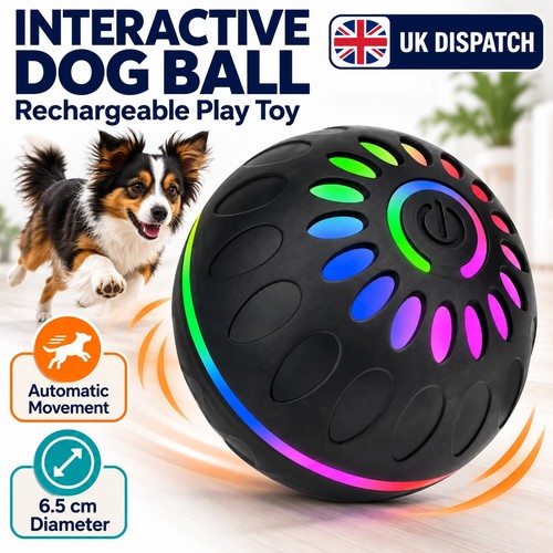 Interactive dog toy ball - interactive,