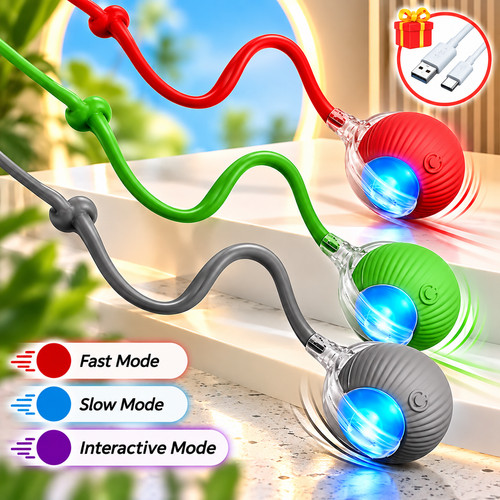 Interactive rolling pet ball - interactive,