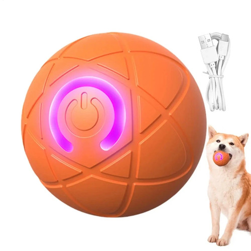 Smart dog toy - smart, ball