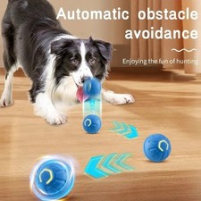 Smart Dog Toy Ball Automatic