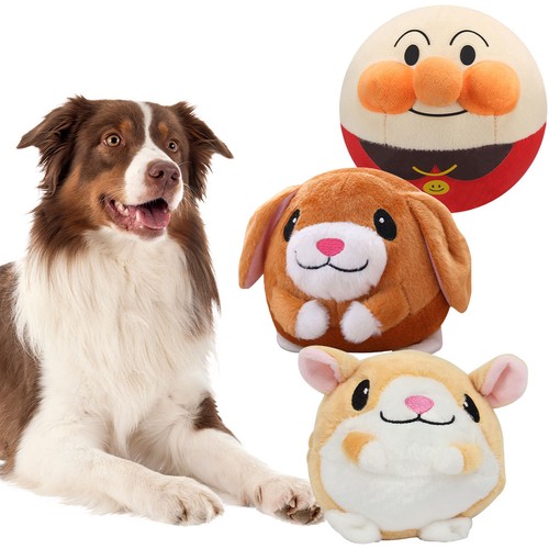Puppy pet ball active moving - puppy,