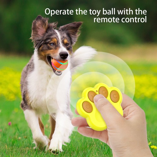 Interactive dog ball toy - ball,